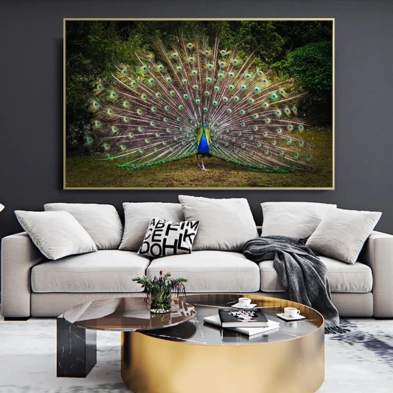 COLOURFUL PEACOCK