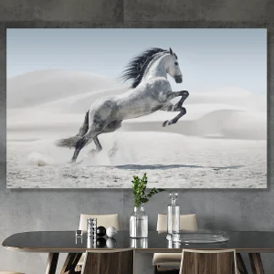 white elegant horse