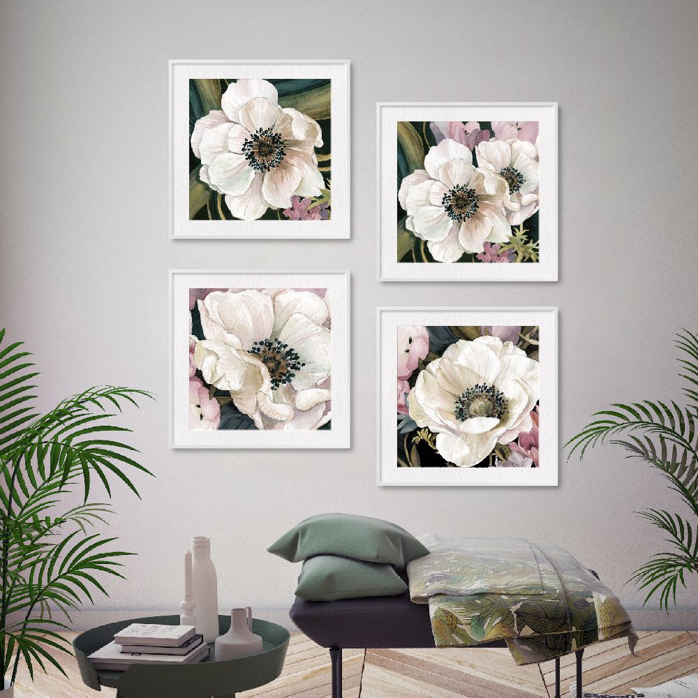 Anemone Study