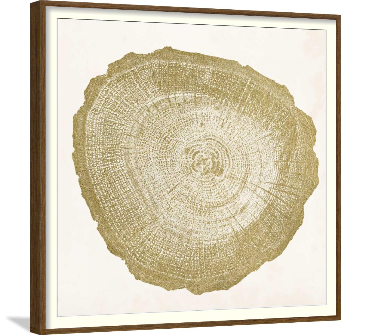 tree ring-3