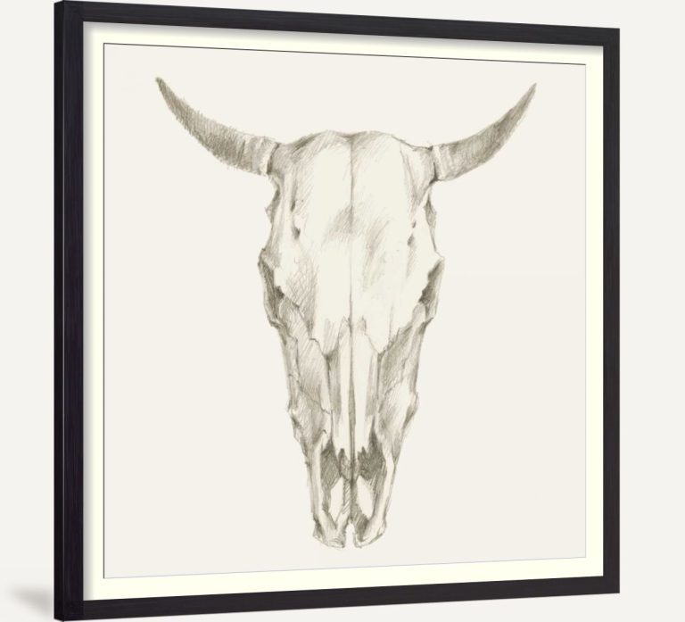 Western Skull Mount I