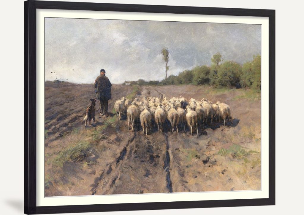The Shepherd King