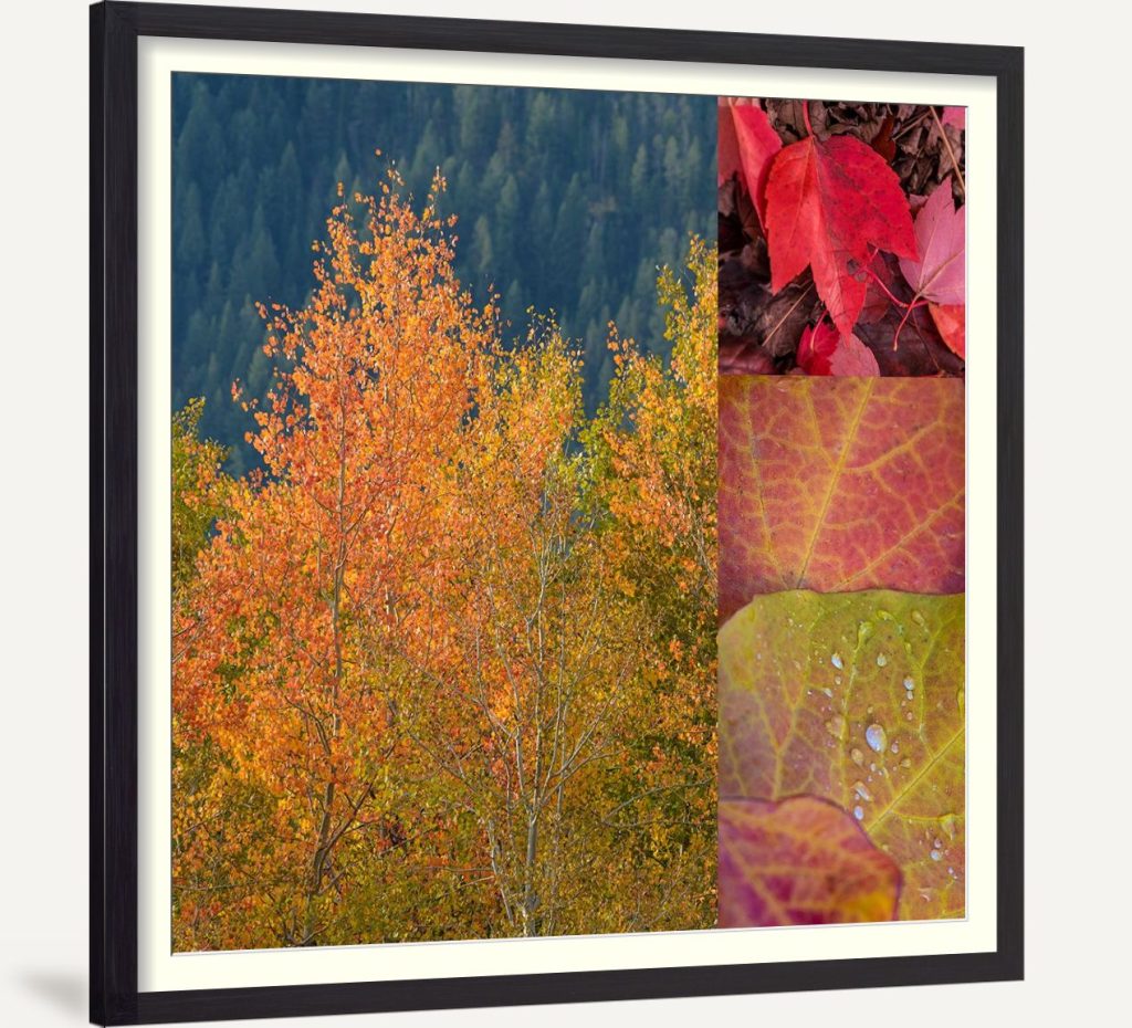Autumn Magic 2