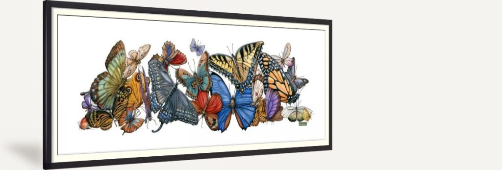 Wings of Splendor I