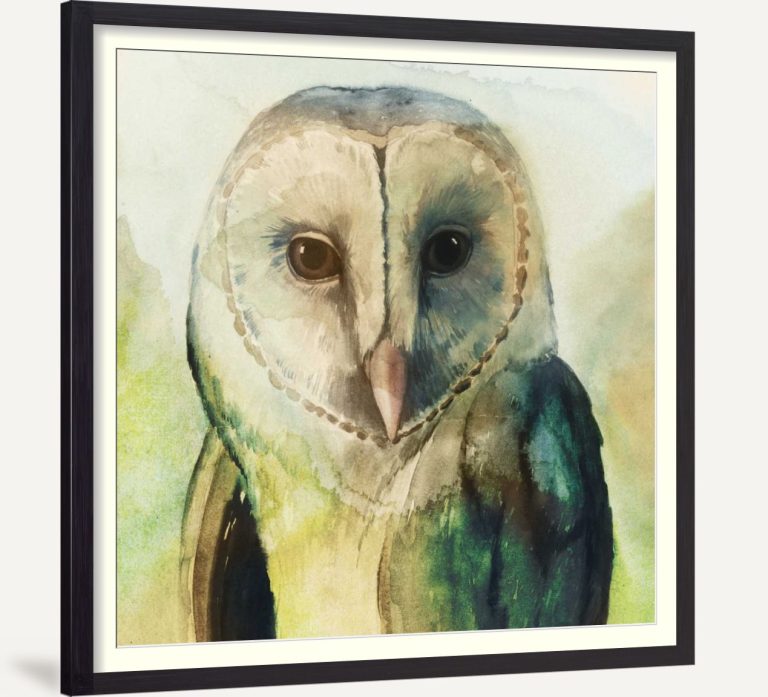 Harlequin Hibou I
