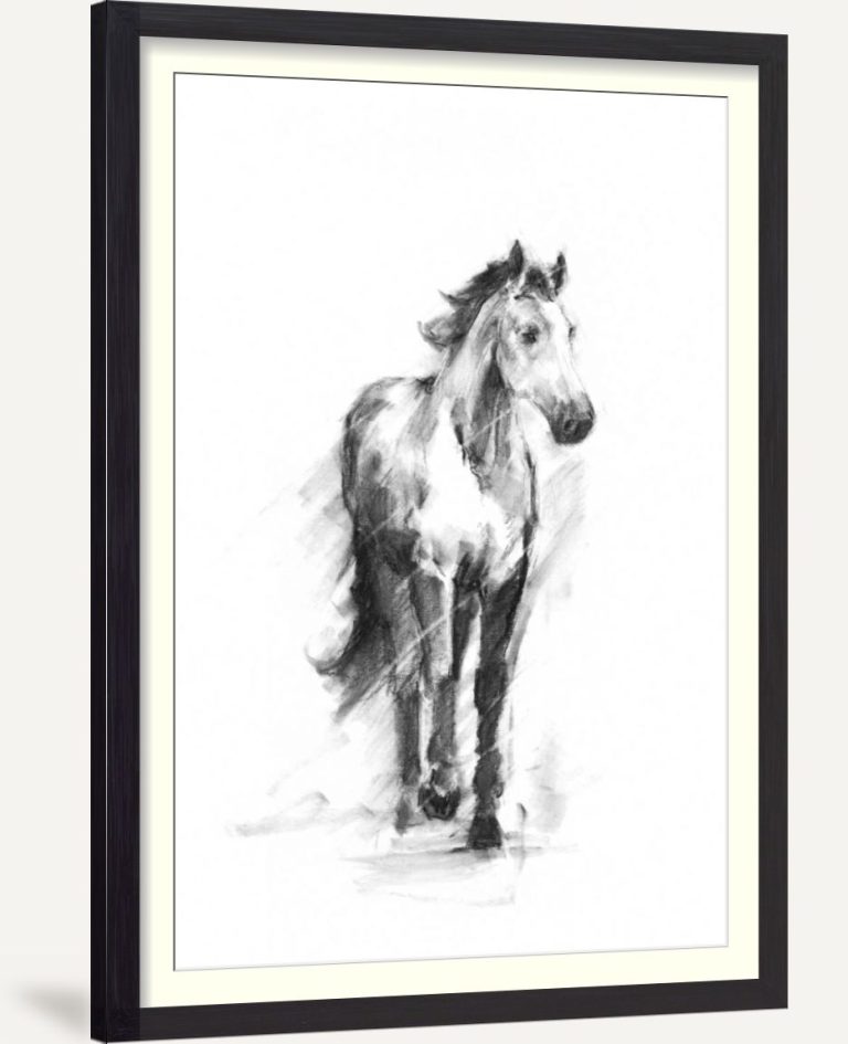 Dynamic Equestrian II