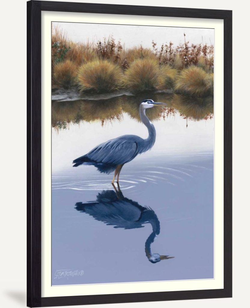 Blackwater Reflections I
