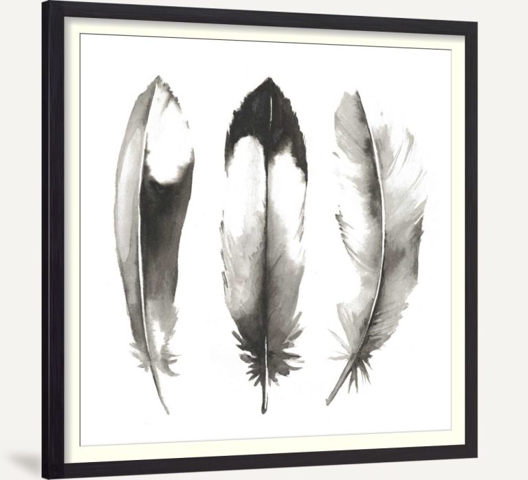 Watercolor Feathers II