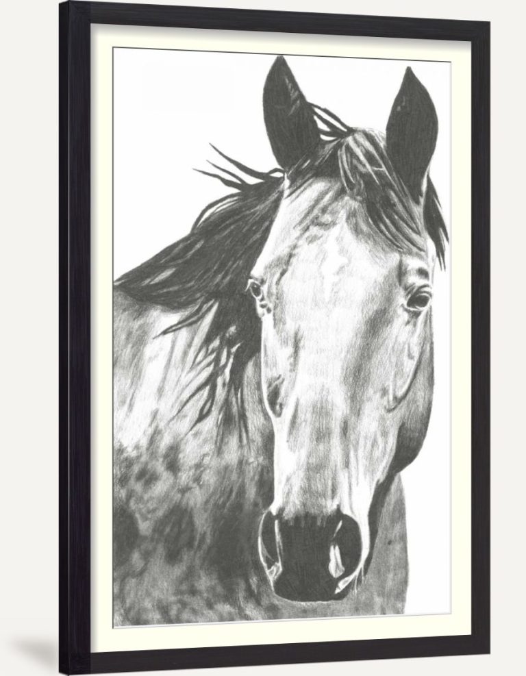 Wildlife Snapshot- Horse I