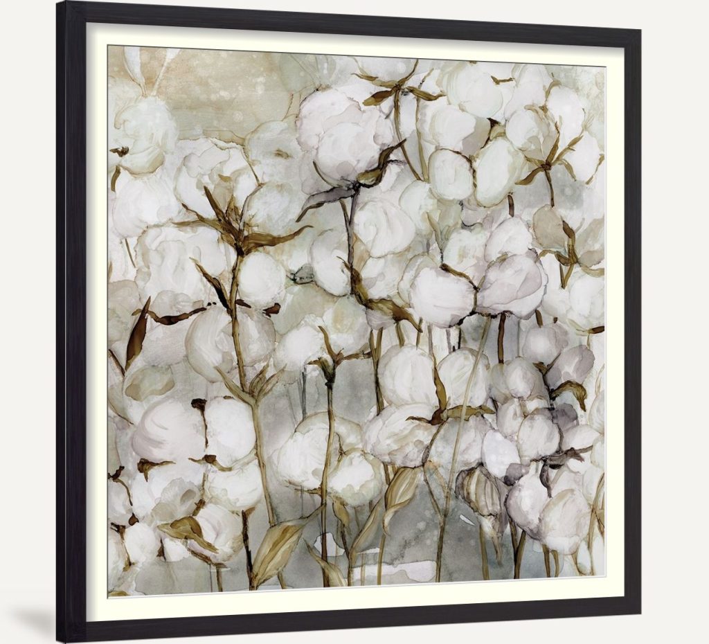 Cotton Field