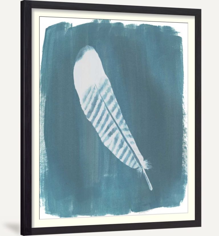 Feathers on Dusty Teal VI