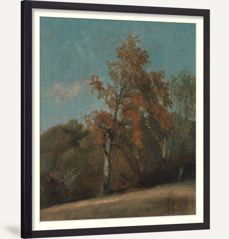 Study of an Ash Tree 1801