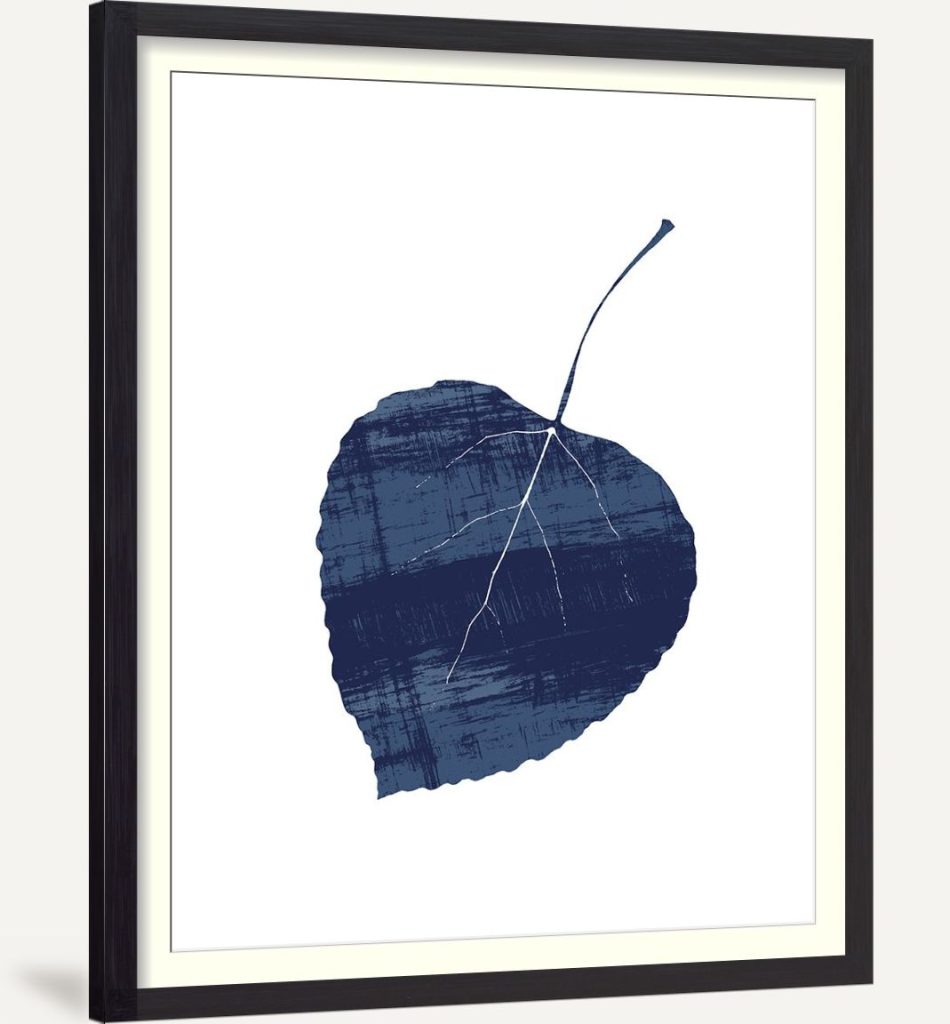 Big Leaf Indigo