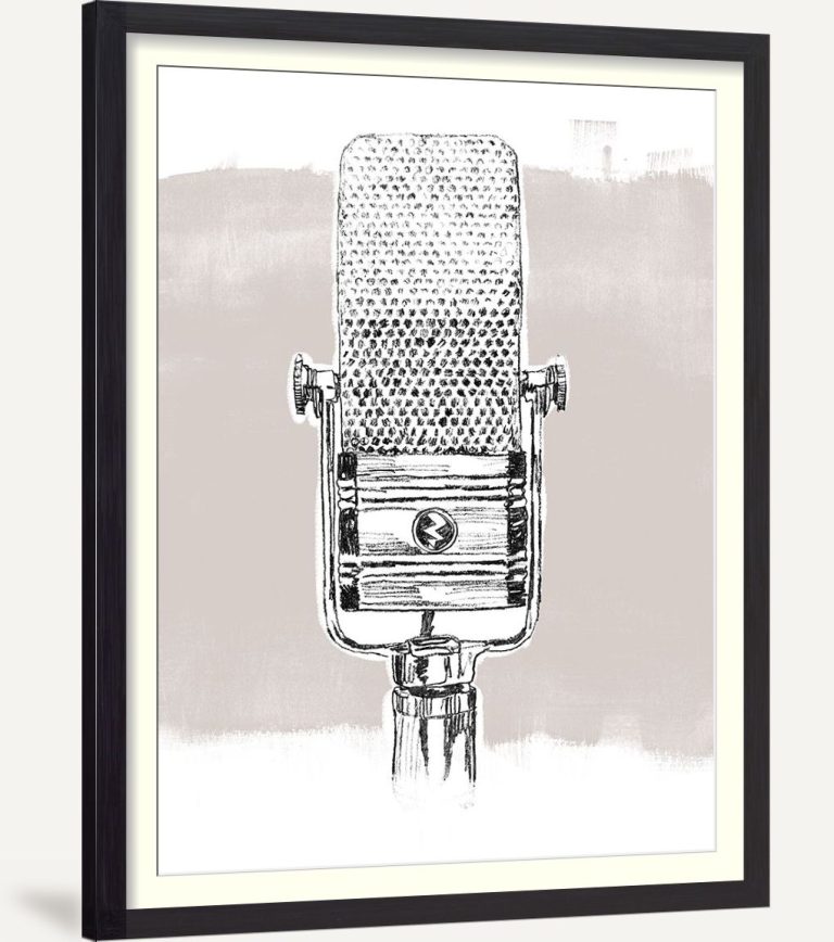 Monochrome Microphone I