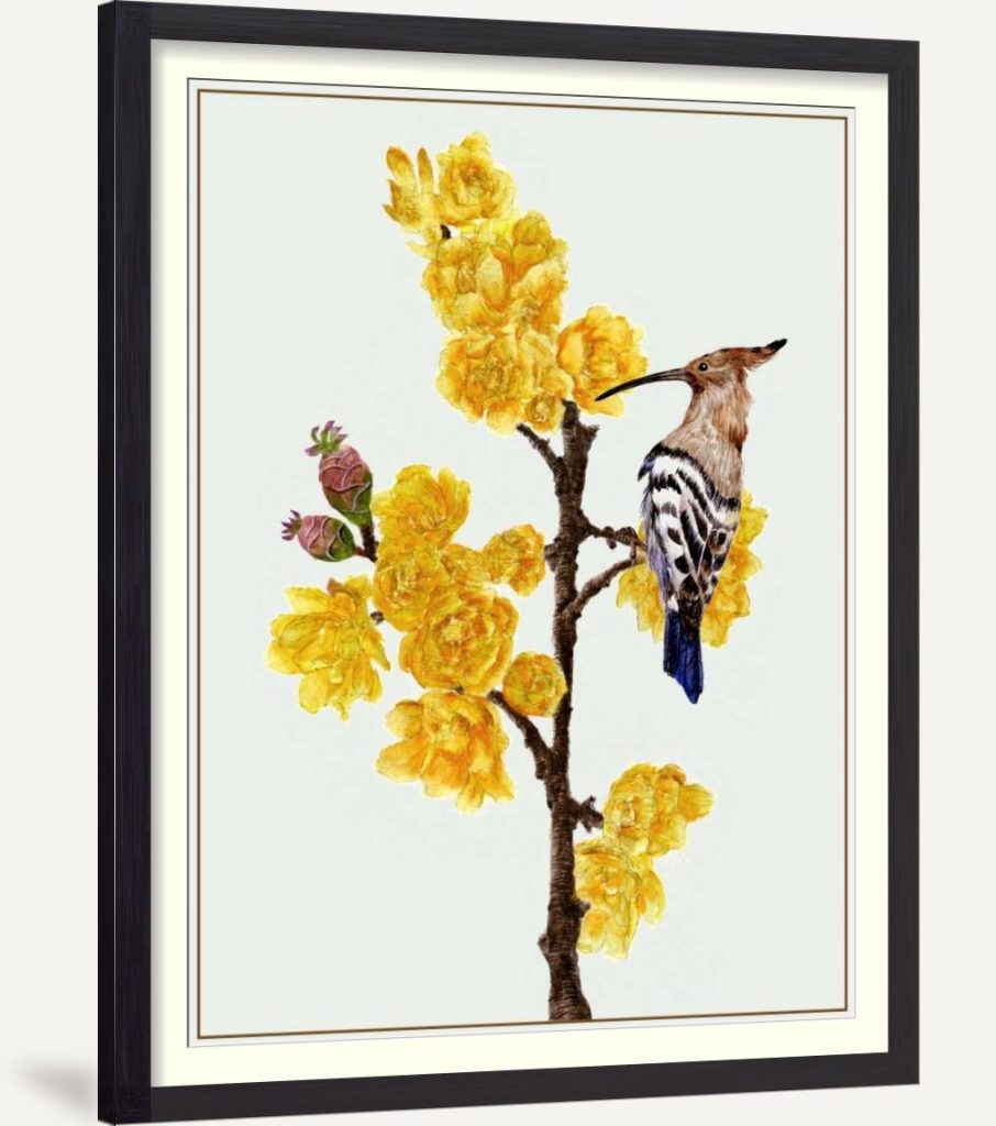 Chimonanthus Praecox II