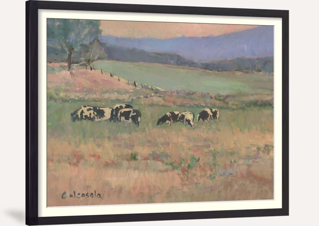 Cows in Pasture