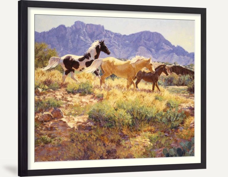 Horses at Big Wash