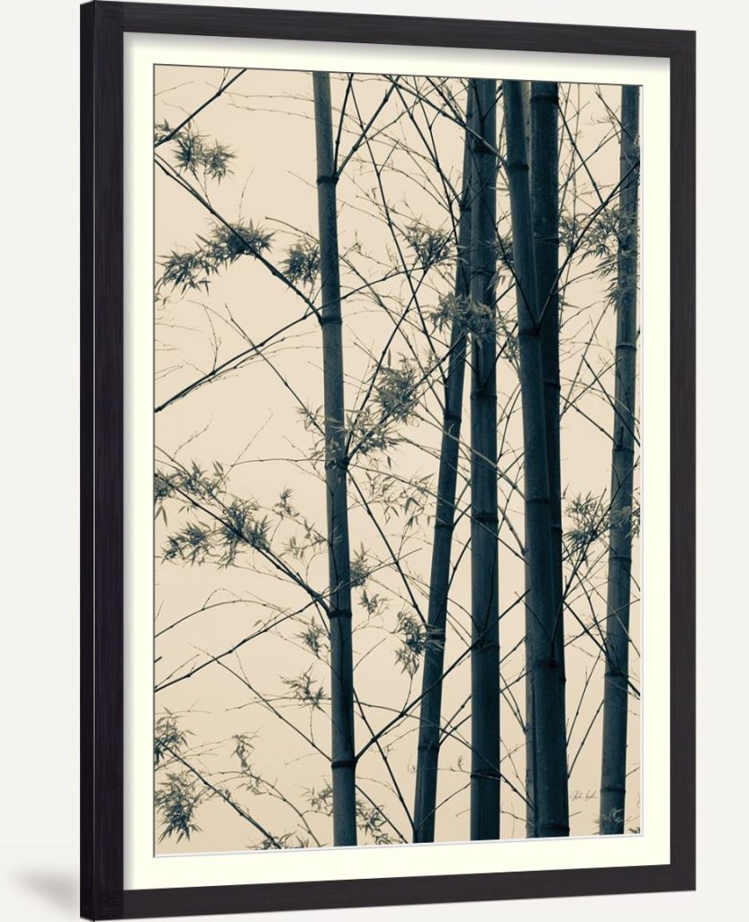 Japanese Bamboo I