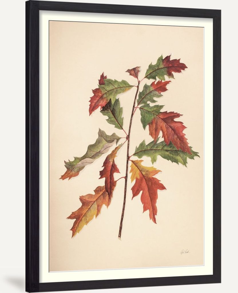 Fall Leaves I Muted