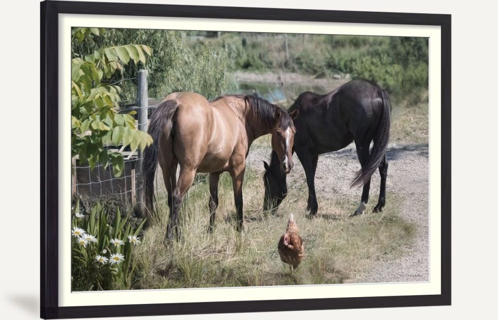 Twos Company