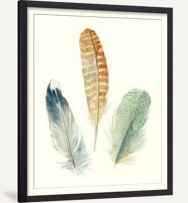Watercolor Feathers IV