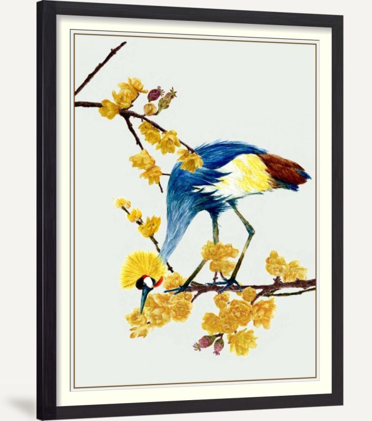 Chimonanthus Praecox I