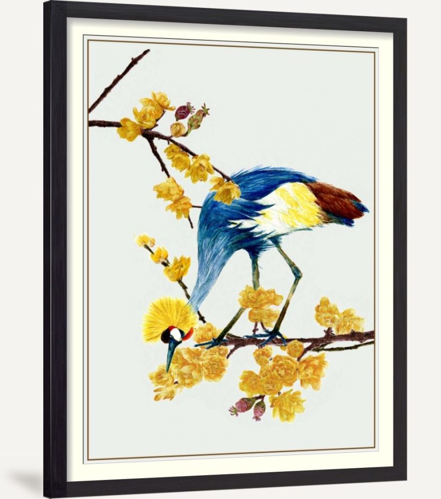 Chimonanthus Praecox I