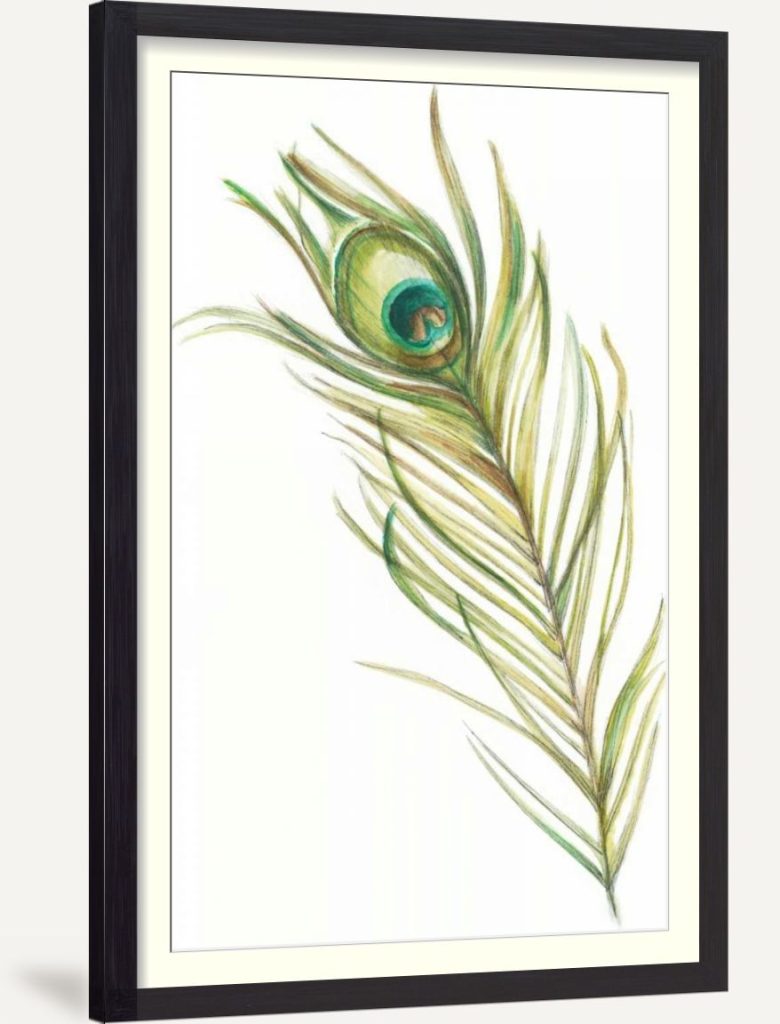 Watercolor Peacock Feather I