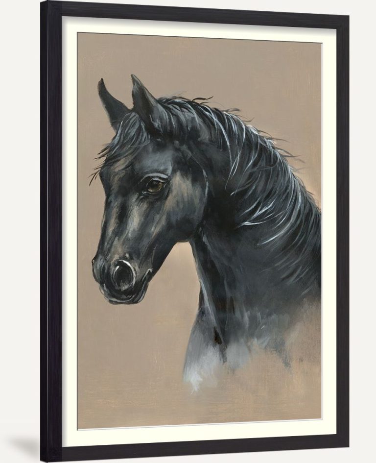 Majestic Stallion II