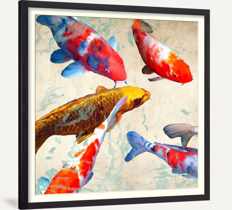 Koi I