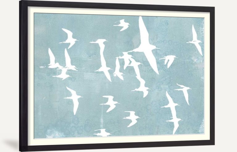 Silhouettes in Flight II