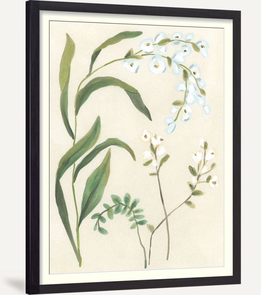 Snowdrop Stems I