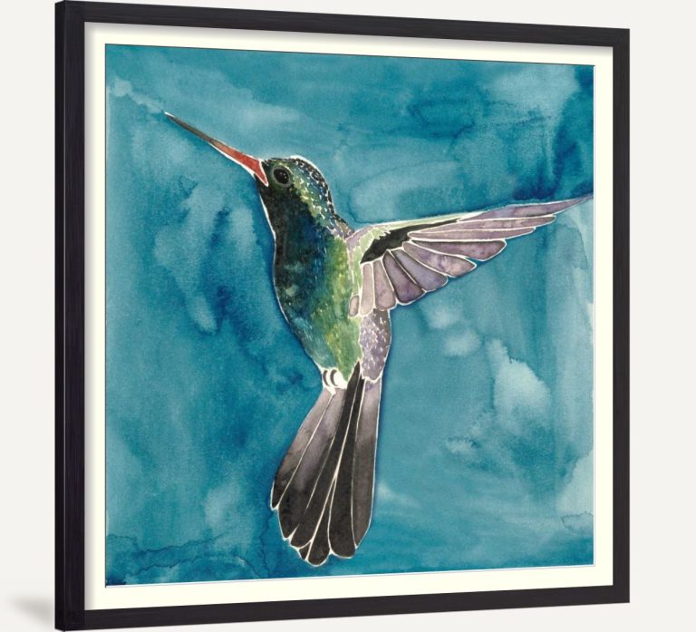 Watercolor Hummingbird II