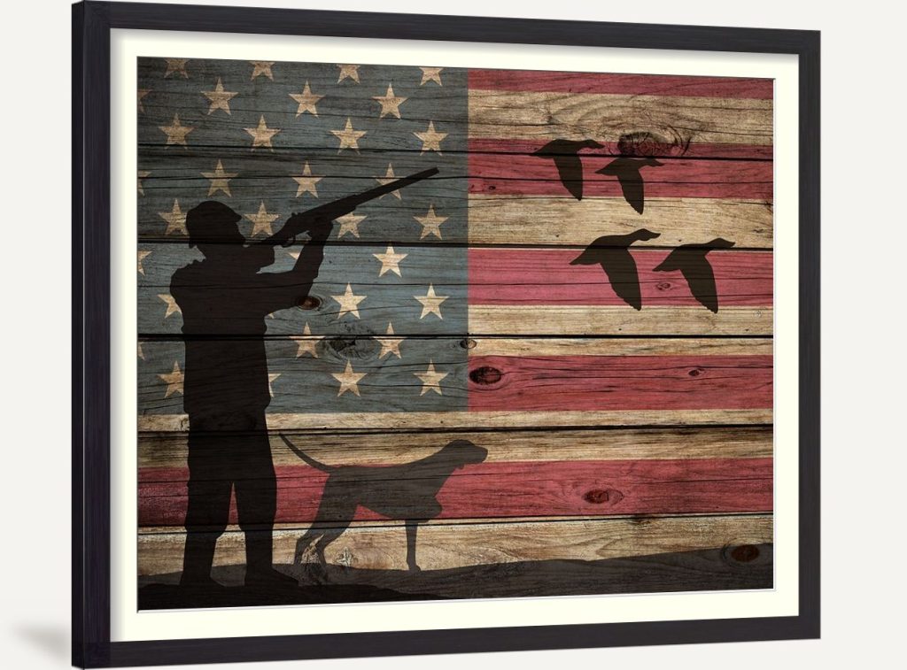 American Bird Hunt