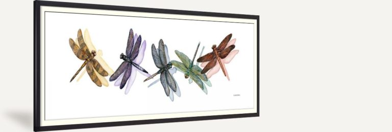 Wings of Splendor II