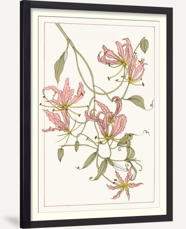 Botanical Gloriosa Lily II