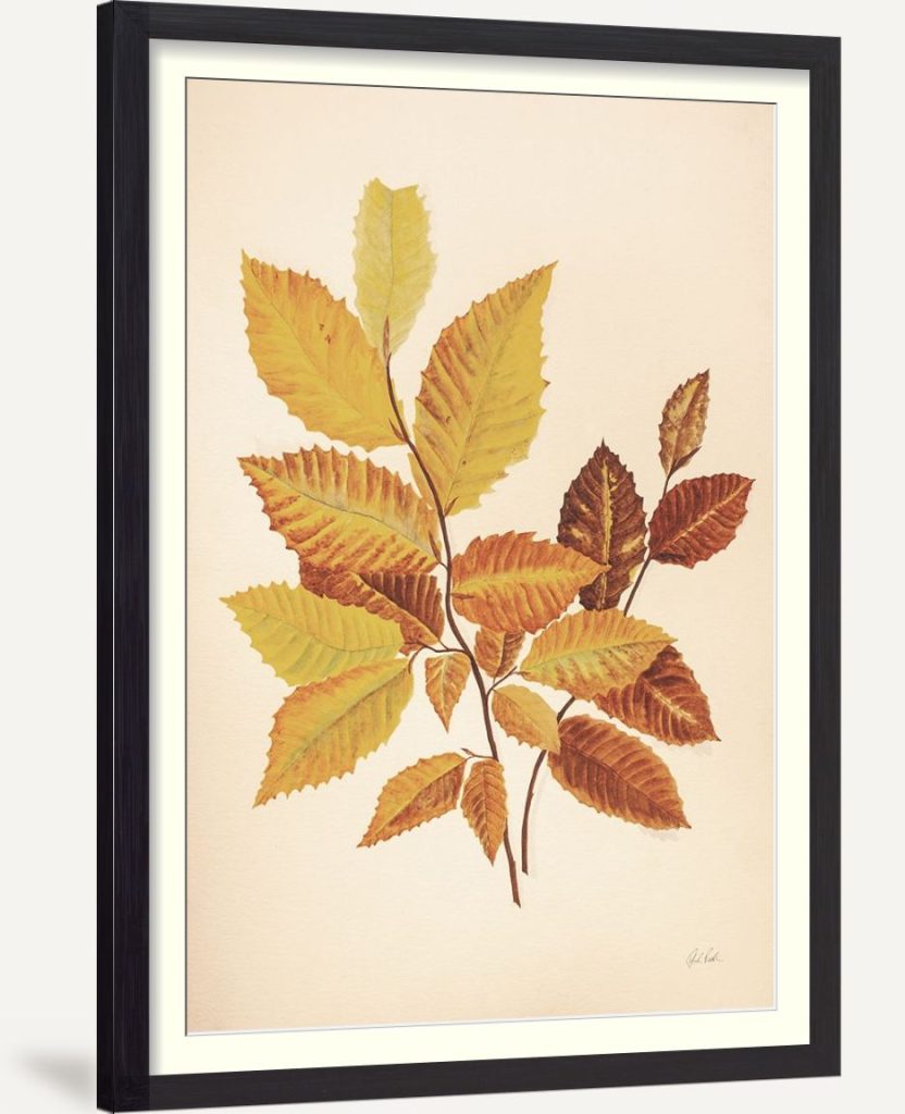 Fall Leaves IV Muted