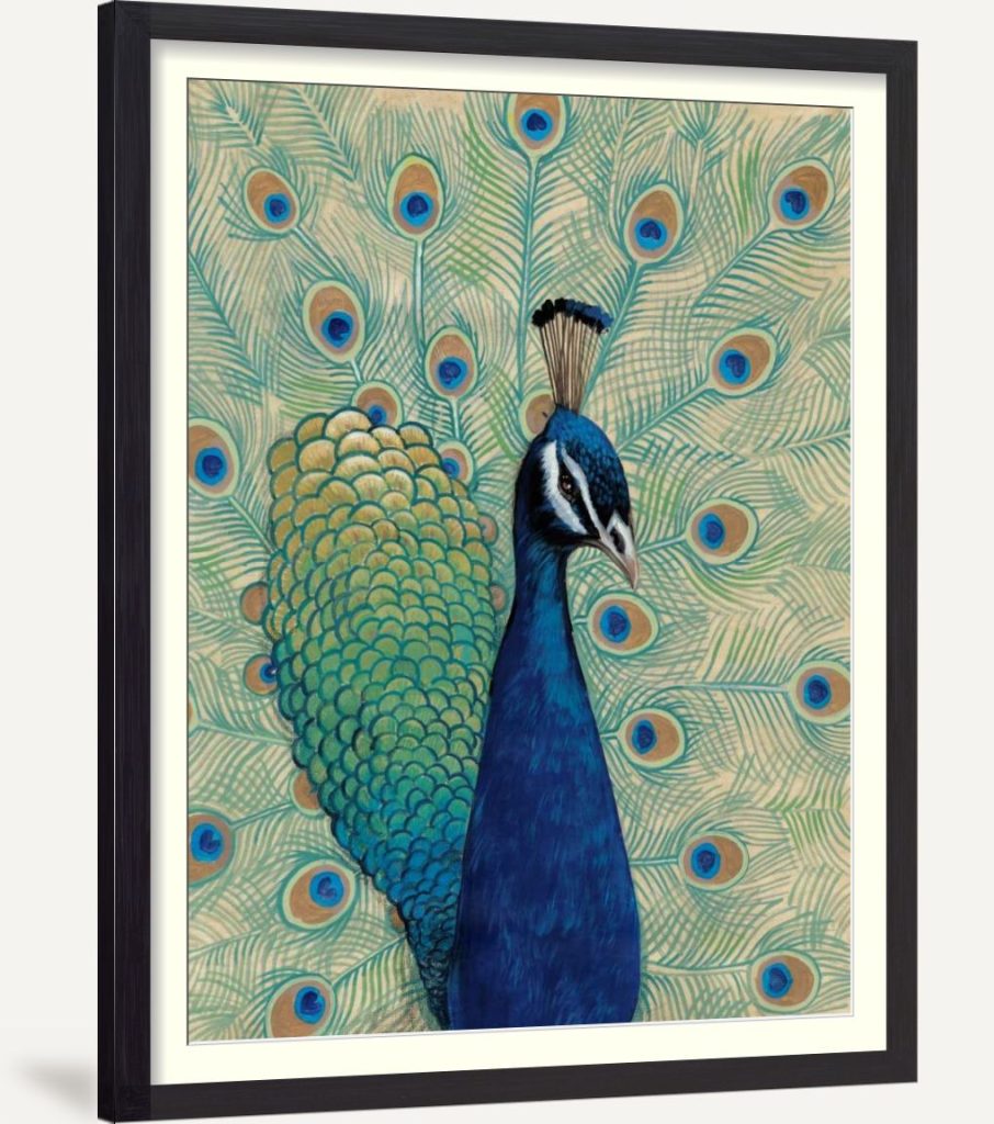 Blue Peacock I