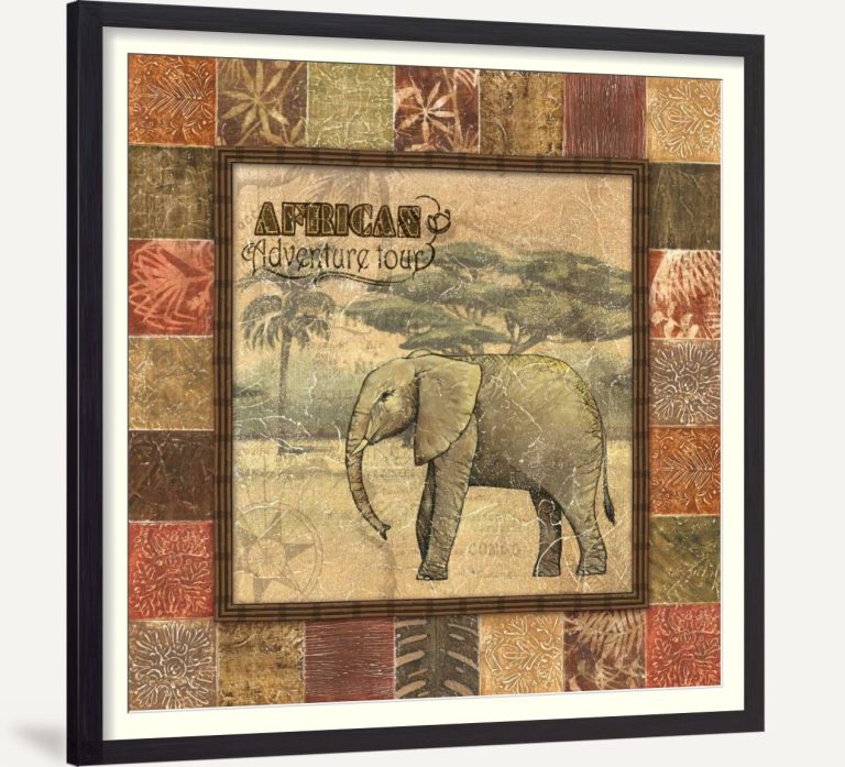 Safari II