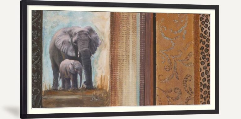 Africa Mia II
