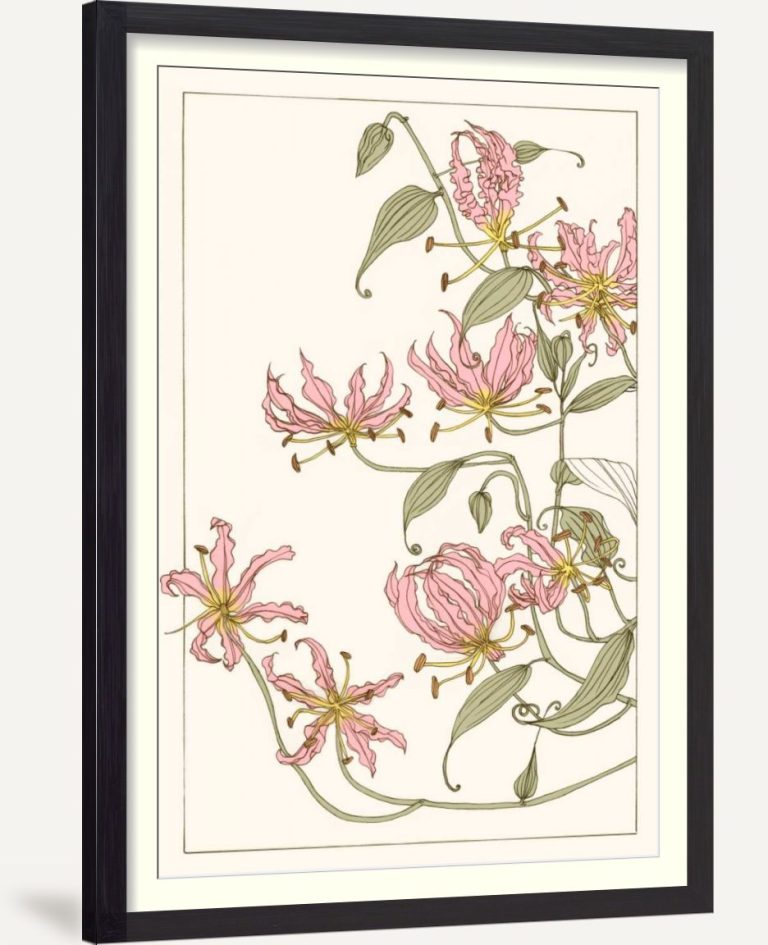 Botanical Gloriosa Lily I