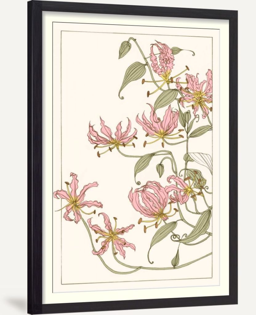Botanical Gloriosa Lily I