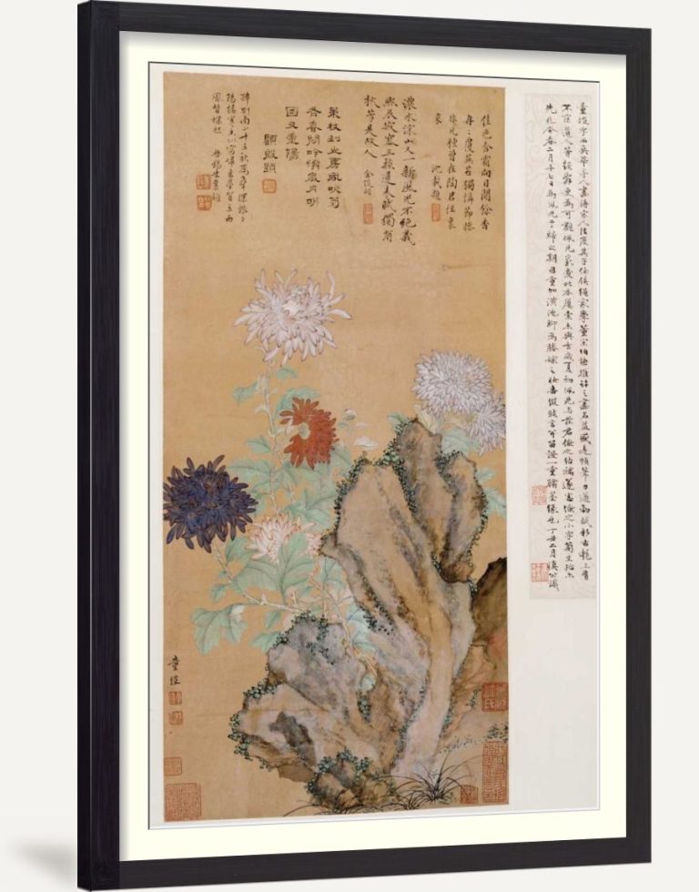 Flowers and Rocks