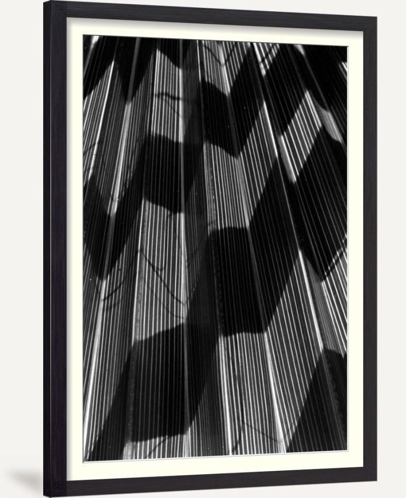 Shadow I