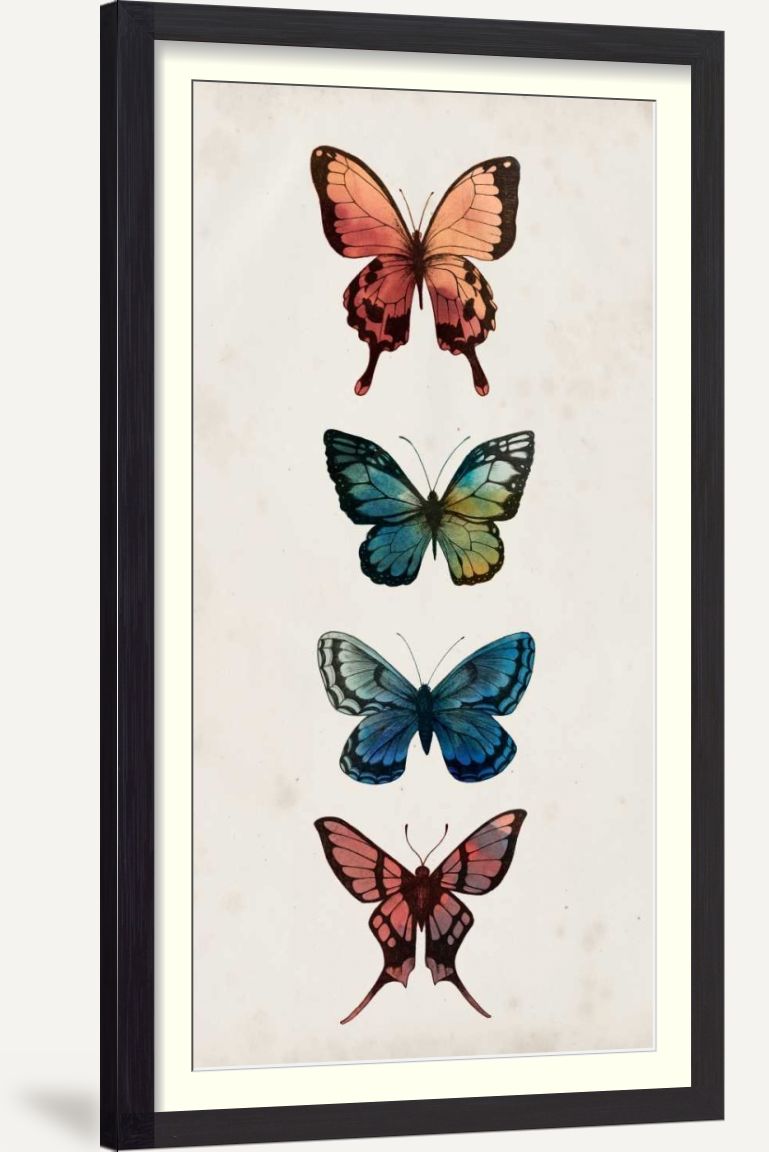 Fairy Study I