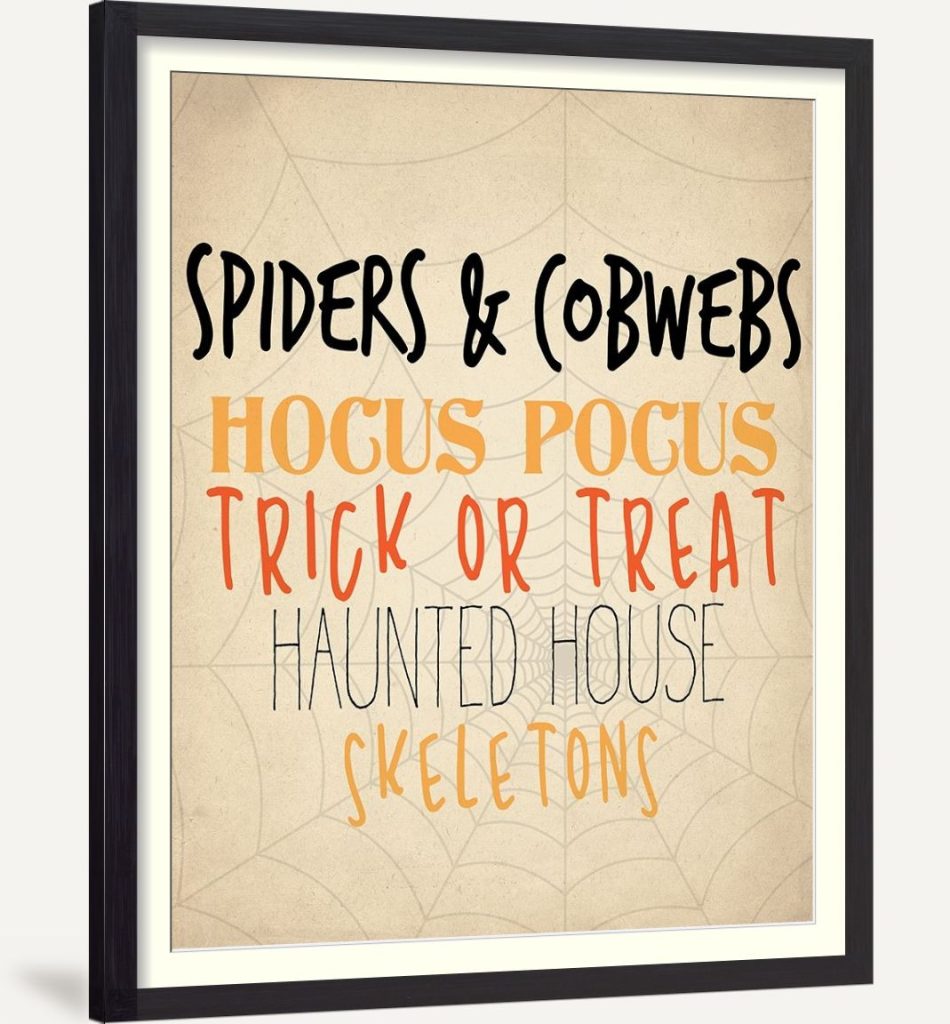 Spiders and Cobwebs