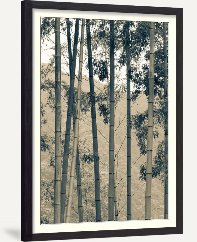 Japanese Bamboo II