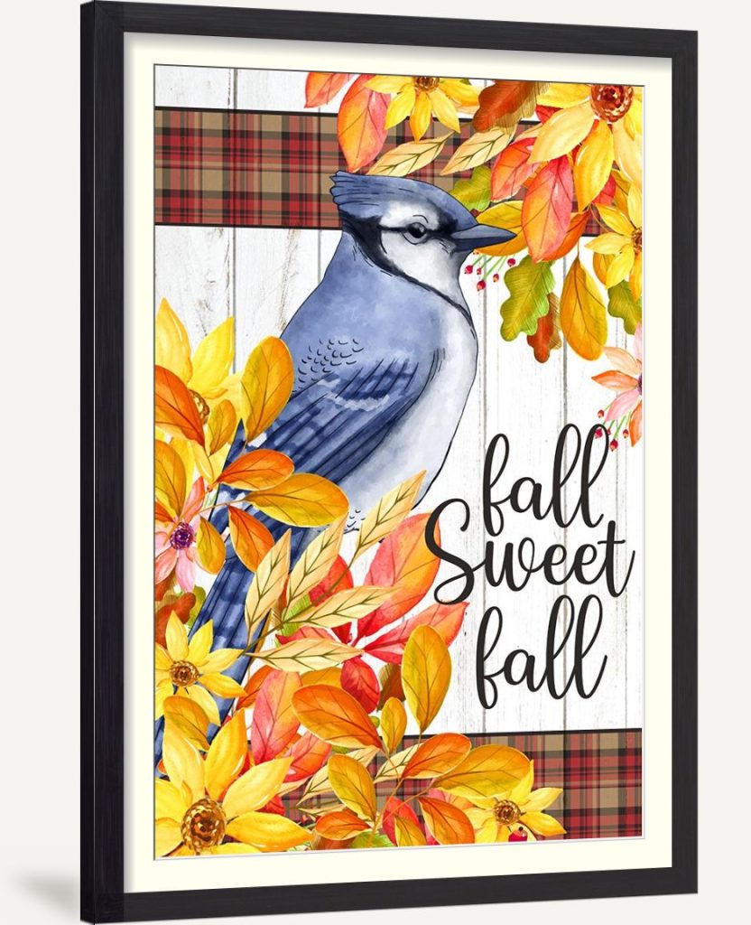 Blue Jay