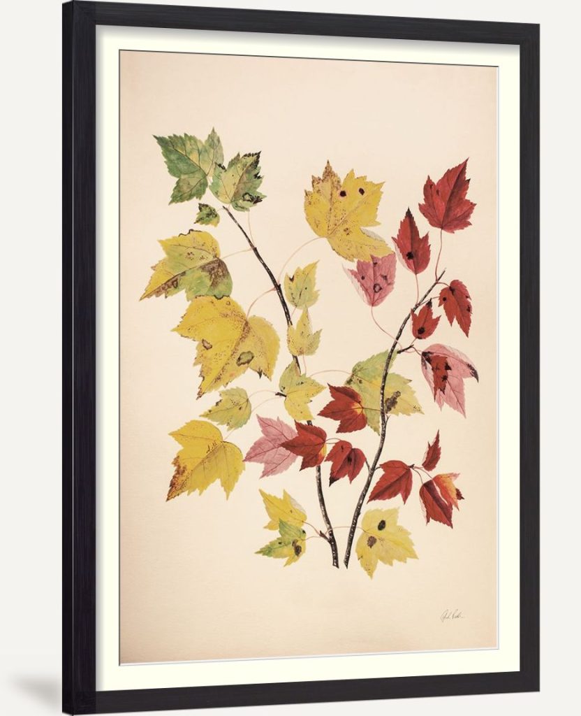 Fall Leaves III Muted